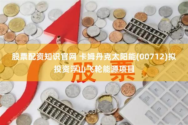 股票配资知识官网 卡姆丹克太阳能(00712)拟投资浮山飞轮能源项目
