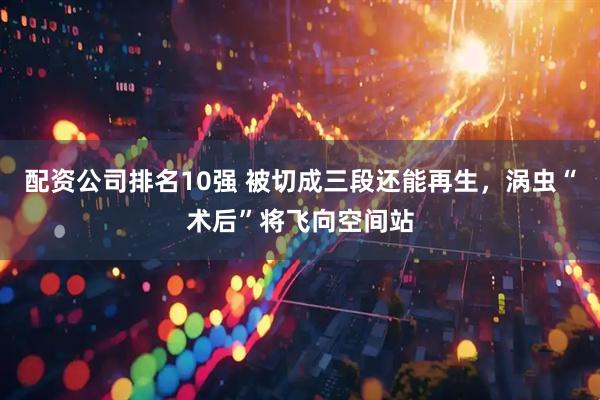 配资公司排名10强 被切成三段还能再生，涡虫“术后”将飞向空间站
